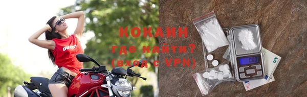 кокс Алексин