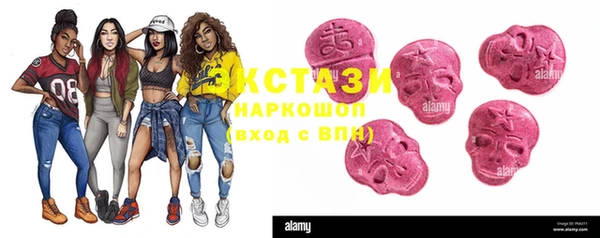 ECSTASY Алзамай