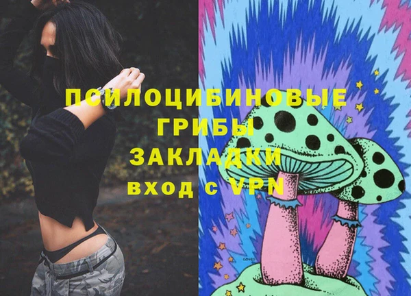 кокс Алексин